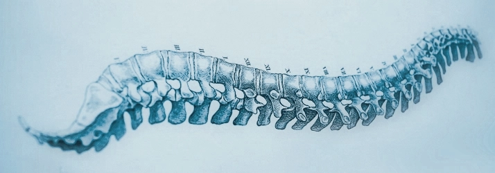 Chiropractic Coconut Creek FL Spine Drawing Blue Chiropractic Coconut Creek FL Spine Drawing Blue
